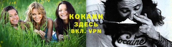 прущий лед Белокуриха