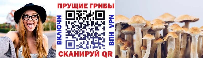 Галлюциногенные грибы мицелий  Лебедянь 